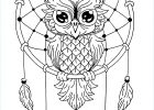Coloriage Mandala Animaux Beau Collection 10 Luxe De Mandala Animaux Facile Galerie Coloriage