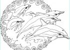 Coloriage Mandala Animaux Facile Bestof Image Mandala to Color Animals Frees Dolphins Mandalas with