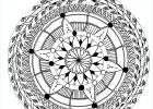 Coloriage Mandala Imprimer Beau Images Leen Margot Mandala with Leaves M&alas Adult Coloring