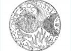 Coloriage Mandala Imprimer Inspirant Images Mandala Fish Domandalas Coloring Pages for Adults