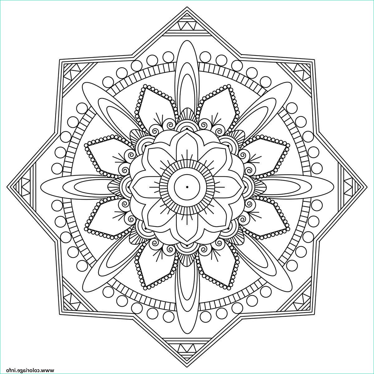 Coloriage Mandala Imprimer Luxe Image Coloriage Mandala Adulte 2017 Rose Dessin