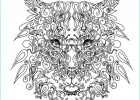 Coloriage Mandala Tigre Cool Stock Vecteurs Pour Tigre Blanc Mandala Illustrations Libres De