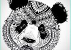 Coloriage Panda Mandala Nouveau Galerie 28 Mandalas Para Colorear De Animales