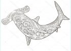 Coloriage Requin Marteau Bestof Collection Requin Marteau Avec Haute Précision — Image Vectorielle