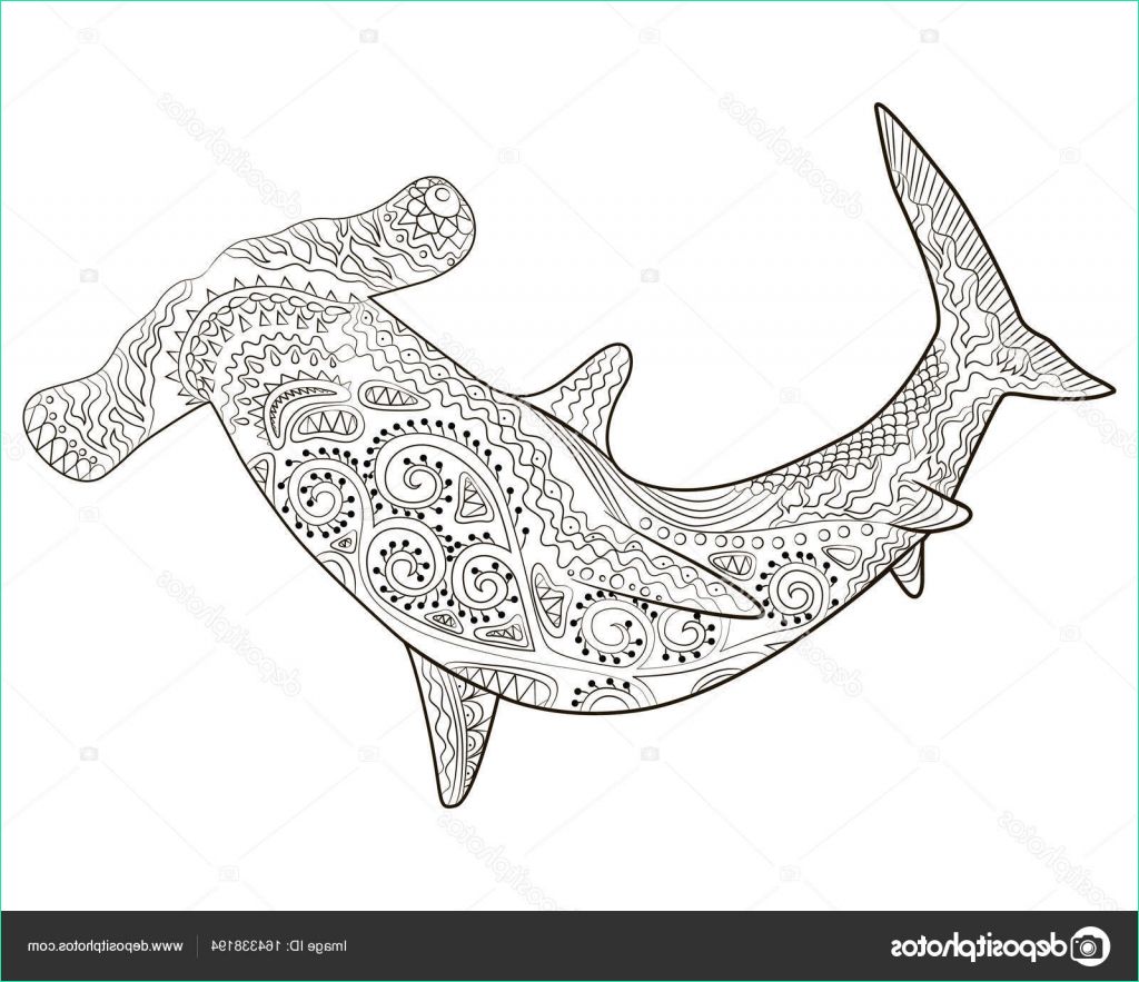 Coloriage Requin Marteau Bestof Collection Requin Marteau Avec Haute Précision — Image Vectorielle