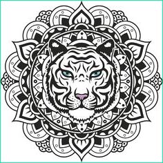 Coloriage Tigre Mandala Beau Photographie Les 9 Meilleures Images De Tigre Mandala