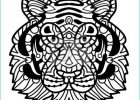 Coloriage Tigre Mandala Élégant Photographie Coloriage Mandala Tigre Coloriage Tigre Mandala