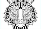 Coloriage Tigre Mandala Inspirant Stock Vecteurs Pour Tigre Blanc Mandala Illustrations Libres De