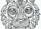 Coloriage Tigre Mandala Luxe Photos 12 Sympathique Coloriage Tigre Mandala S Coloriage
