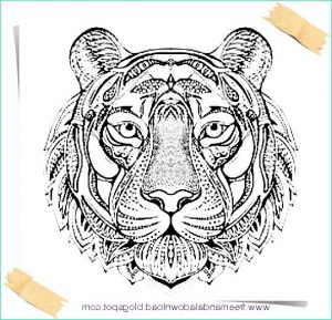 Coloriage Tigre Mandala Luxe Photos Tiger Mandala Färbung Frei Tiger Mandala Coloring Free