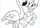 Daisy Coloriage Inspirant Galerie Coloriage Daisy Cool Stock Coloriages Daisy Fr Hellokids
