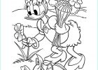 Daisy Coloriage Luxe Galerie Coloriage A Imprimer Daisy Cueillant Des Fleurs Gratuit Et
