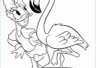 Daisy Coloriage Luxe Photos Dessin à Colorier Daisy Et Donald