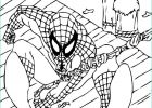 Dessin A Colorier A Imprimer Nouveau Image Coloriage Spiderman Dessin Animé Dessin Gratuit à Imprimer