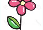 Dessin De Fleurs Inspirant Collection Blume Clipart Download Blume Clipart for Free 2019