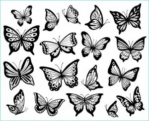 Dessin De Papillons Élégant Photos Dessin De Papillons Papillon Pochoir Ailes De Papillon