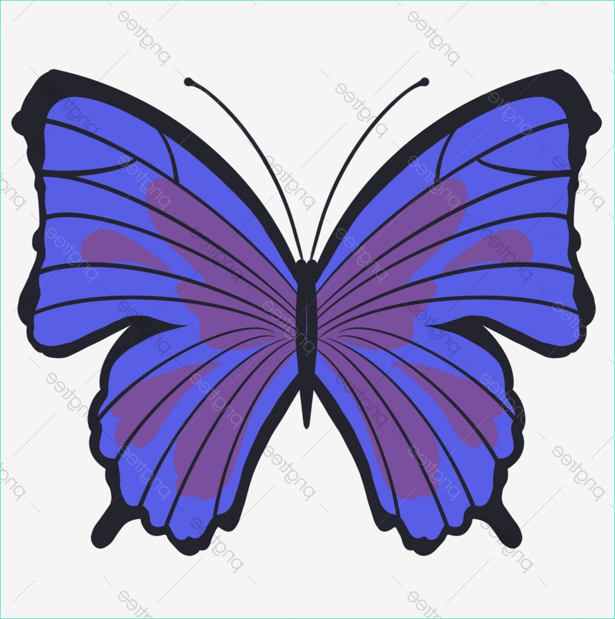 Dessin De Papillons Inspirant Photographie Papillon Monarque Bleu Papillon Monarque Dessin Animé
