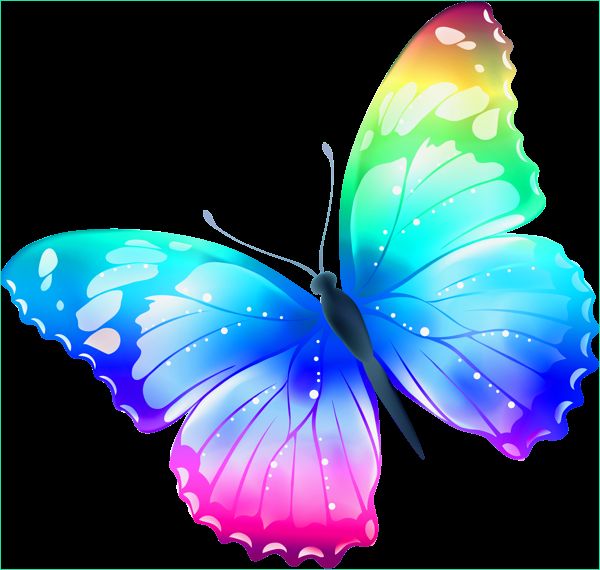 Dessin De Papillons Nouveau Photos Papillon Multicolore