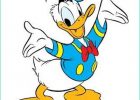 Dessin Donald Beau Collection Disney Characters Donald Duck Character