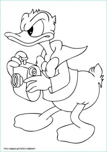 Dessin Donald Beau Photos Donald Duck Coloring Page