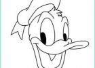 Dessin Donald Impressionnant Collection How to Draw Donald Duck
