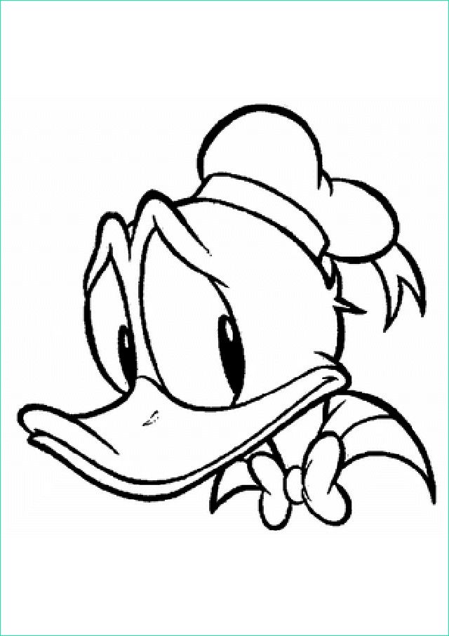 Dessin Donald Nouveau Photos Coloriage Donald Duck Gratuit à Imprimer