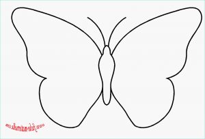 Dessin Papillon à Découper Cool Galerie Download 61 Papillon A Decouper