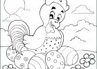 Dessin Pour Paques Luxe Photos Coloriage Poule Et Oeuf De Paques Coloriage En Ligne