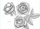Dessin Roses Beau Photos [dessin] Roses Du Jardin Chez L Aventurier Des Rêves