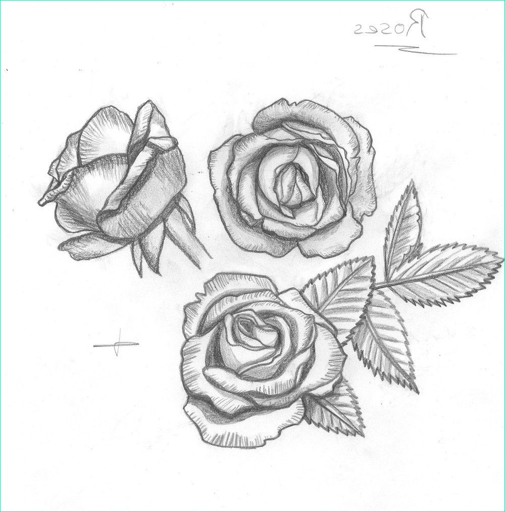Dessin Roses Beau Photos [dessin] Roses Du Jardin Chez L Aventurier Des Rêves