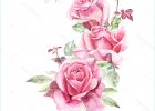 Dessin Roses Élégant Image Pattern From Pink Rose Wedding Drawings — Stock