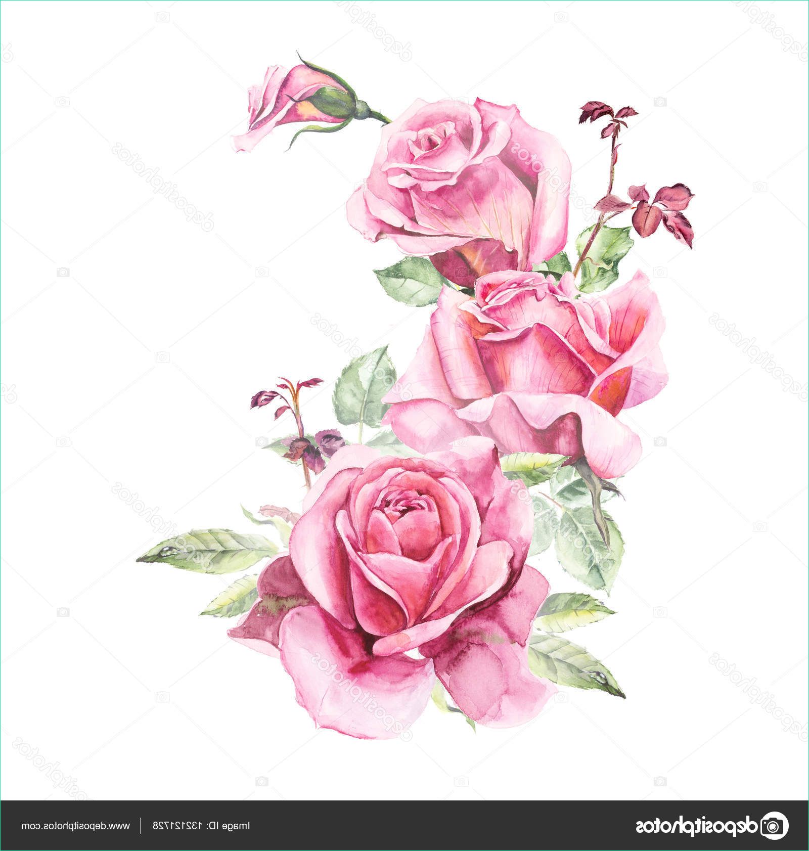 Dessin Roses Élégant Image Pattern From Pink Rose Wedding Drawings — Stock