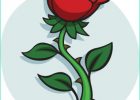 Dessin Roses Élégant Photographie Dessin Animé Rose Vecteurs Libres De Droits Et Plus D