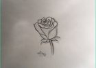 Dessin Roses Inspirant Image Dessiner Une Rose [speed Drawing]
