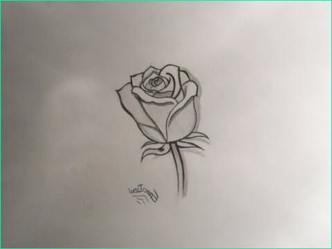 Dessin Roses Inspirant Image Dessiner Une Rose [speed Drawing]