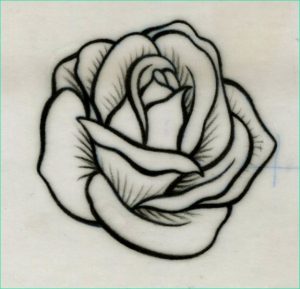 Dessin Roses Nouveau Galerie Image De Rose Dessin