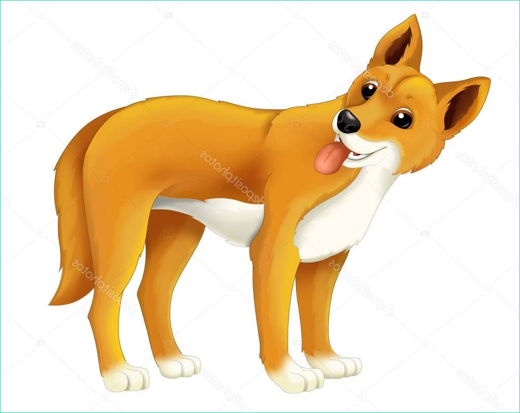 Dingo Dessin Luxe Photos Dessin Animé Dingo Animal Chien Illustration Pour Enfants
