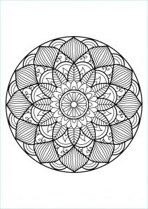 Imprimer Coloriage Mandala Unique Galerie Mandala Plexe Livre Gratuit 30 Coloriage Mandalas