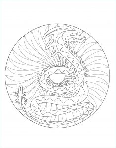 Mandala à Imprimer Gratuit Beau Galerie Mandala Dragon 2 M&amp;alas Adult Coloring Pages Page 5