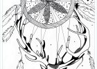 Mandala Animaux A Imprimer Inspirant Photos Dessin à Imprimer Dessin A Imprimer Gratuit Animaux En