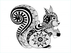 Mandala Animaux Bestof Collection Zentangle Squirrel Squirrels &amp; Rodents Adult Coloring Pages