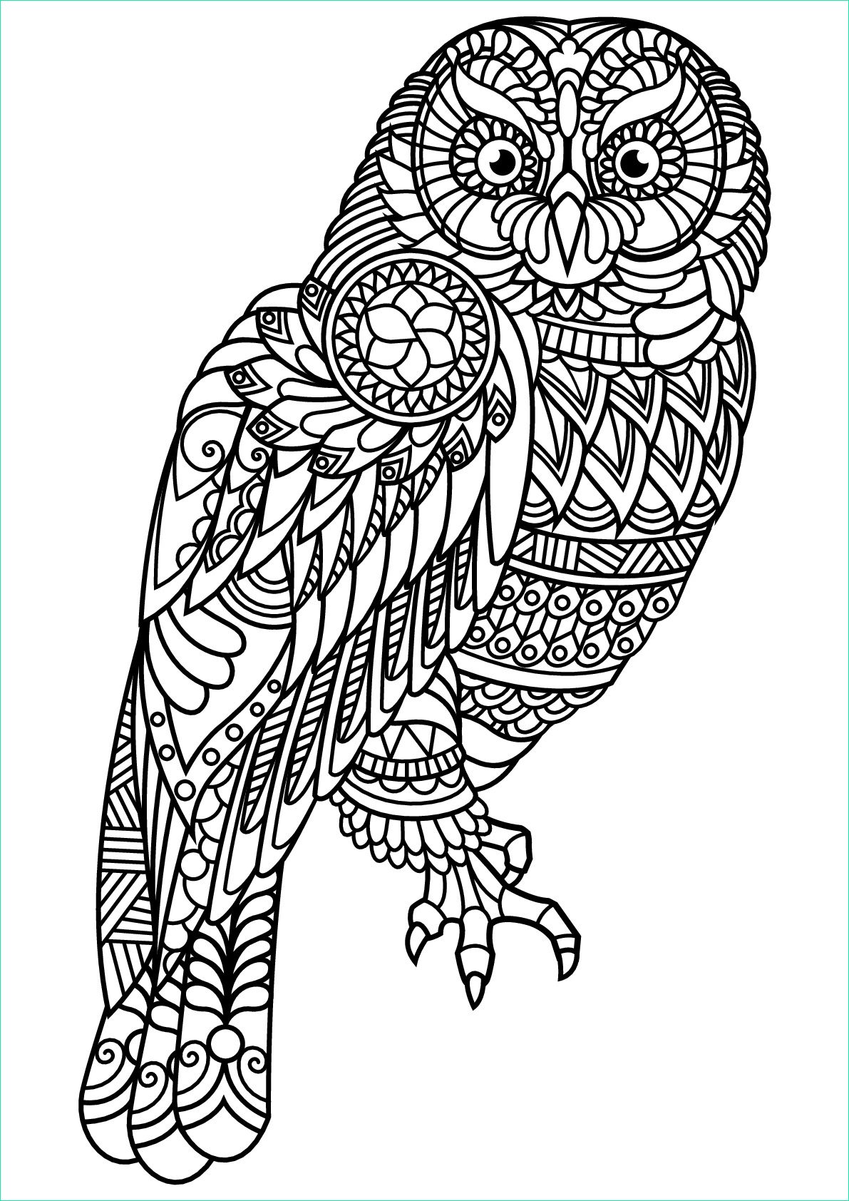 Mandala Animaux Cool Photographie Free Book Owl Owls Adult Coloring Pages