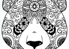 Mandala D&#039;animaux Beau Photos Mandala Animaux Simple Coloriage De Emoji A Imprimer