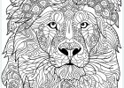 Mandala D&#039;animaux Cool Photos Coloriage Tigre Mandala Coloriage Mandala Animaux Lion A