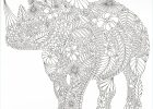 Mandala D&#039;animaux Inspirant Galerie 壮大 Coloriage Mandala Animaux Sauvages