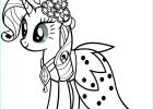 My Little Pony Coloriage Inspirant Photos Wow Coloriage My Little Pony Rarity at Supercoloriage