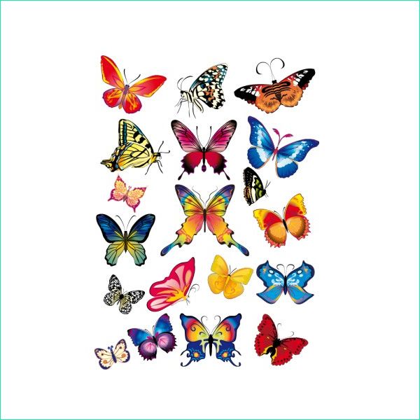 Papillon Dessin à Imprimer En Couleur Cool Photos Stickers Planche De 19 Papillons · ¸¸ France Stickers