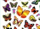 Papillon Dessin à Imprimer En Couleur Élégant Photographie Dessins En Couleurs à Imprimer Papillon Numéro
