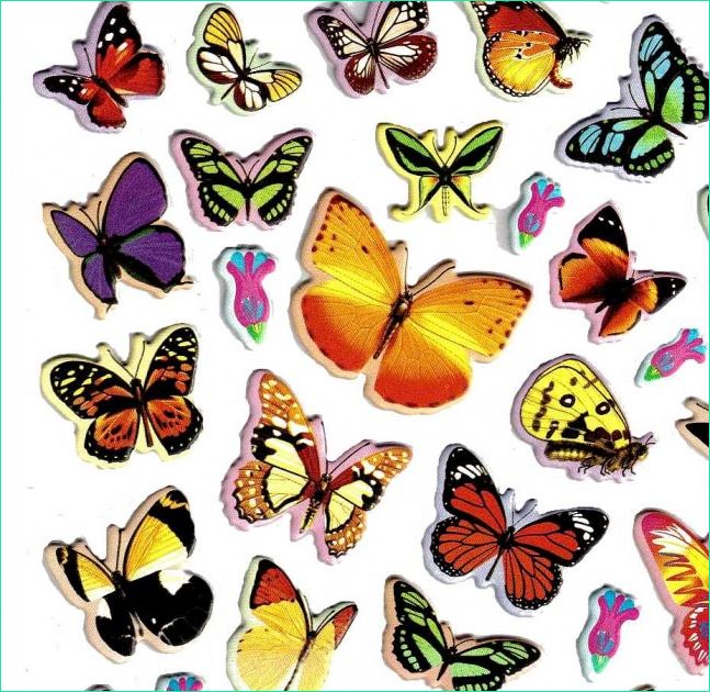 Papillon Dessin à Imprimer En Couleur Élégant Photographie Dessins En Couleurs à Imprimer Papillon Numéro