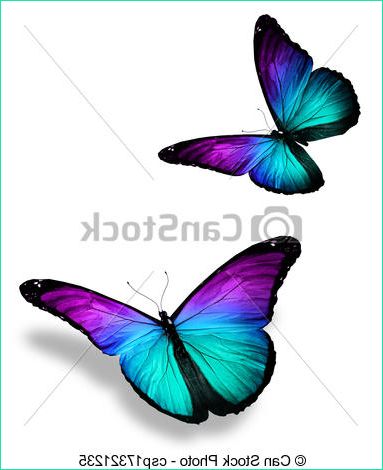 Papillon Dessin à Imprimer En Couleur Élégant Photos Dessins De Couleur Papillons Blanc Deux Two Couleur